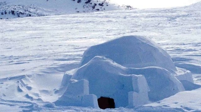 Mengapa Rumah Igloo Berbentuk Setengah Bola?