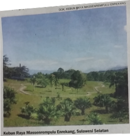 Kebun Raya Mangrove Surabaya Jadi Anggota World Mangrove Center