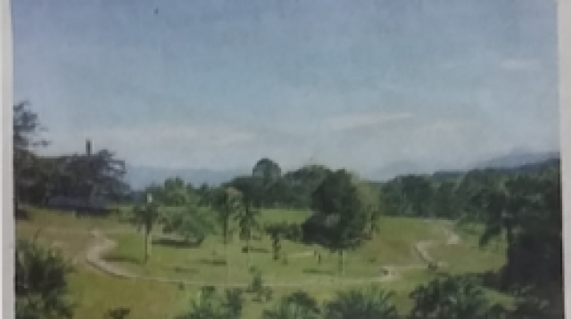 Kebun Raya Mangrove Surabaya Resmi Bergabung dengan WMC dan BGCI