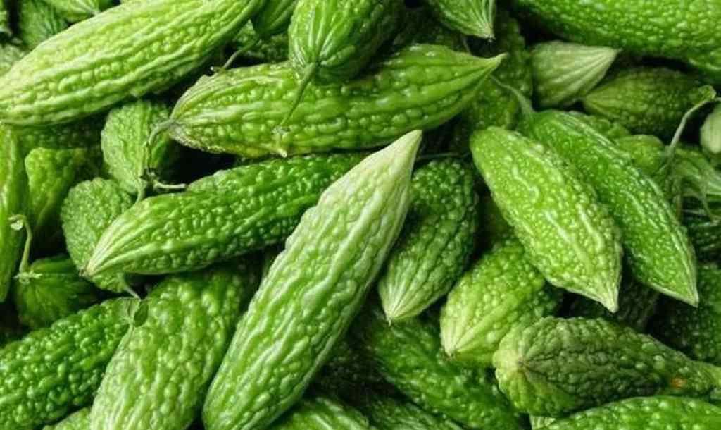 Pare: Si Pahit Yang Kaya Manfaat Dan Cara Kreatif Menyajikannya